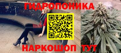 МДПВ Канаш