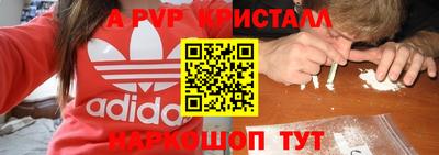 СК Камышлов