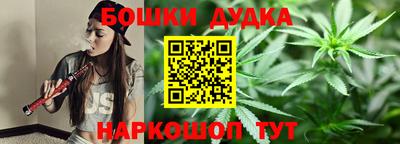 МДПВ Канаш