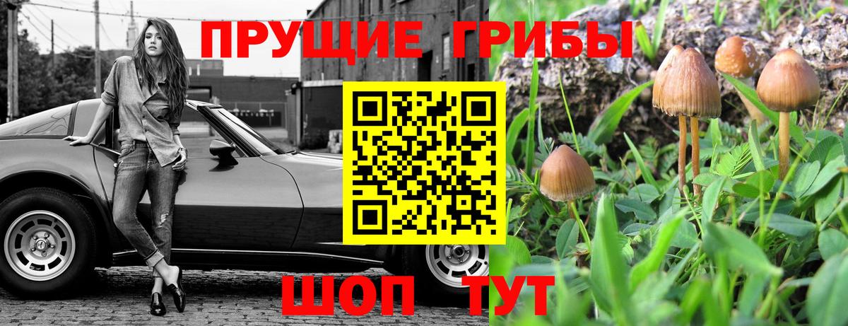 Галлюциногенные грибы Cubensis  Вход с VPN  Биробиджан 